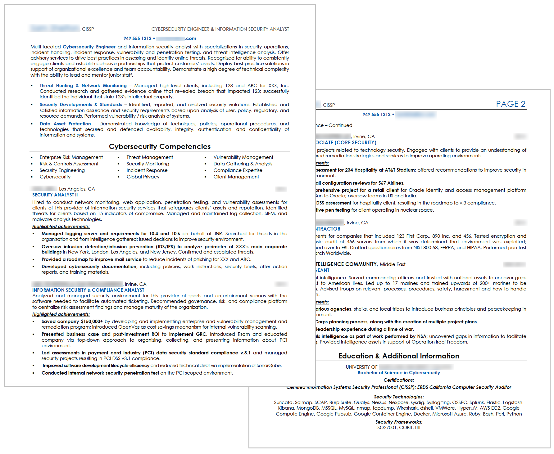 Cyber Security Professional Resume